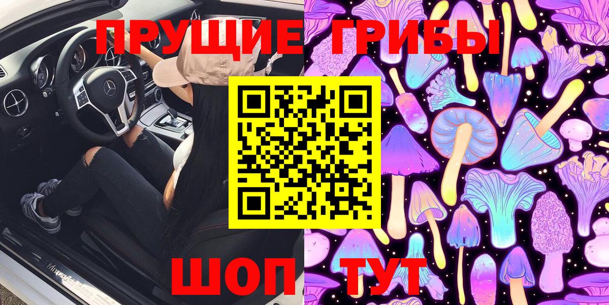 Галлюциногенные грибы Psilocybe  Вход с VPN  Печора 